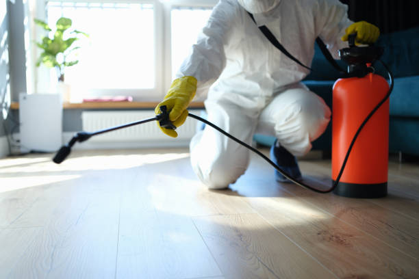 Reliable Unattended Death Cleanup contractor in Long Beach, CA by Trauma Clean Pros